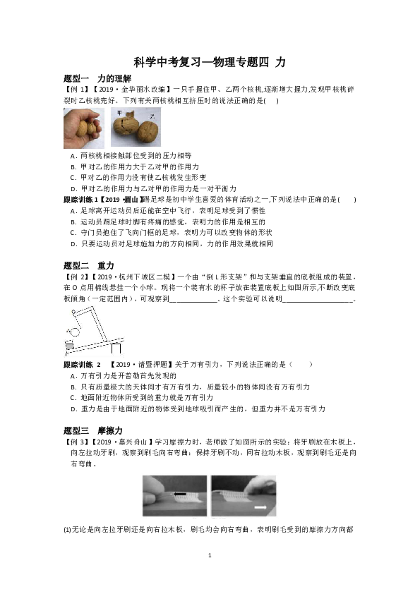 科学中考复习——物理专题四 力