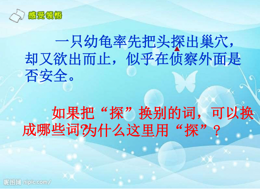 《大自然的秘密》课件