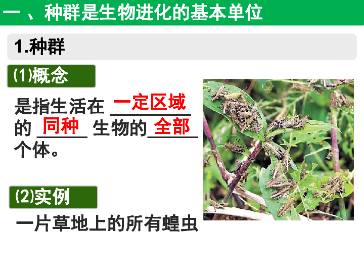 河南省郑州市第一中学人教版高中生物必修二课件：7．2．1种群基因频率的改变与生物进化（共49张PPT）