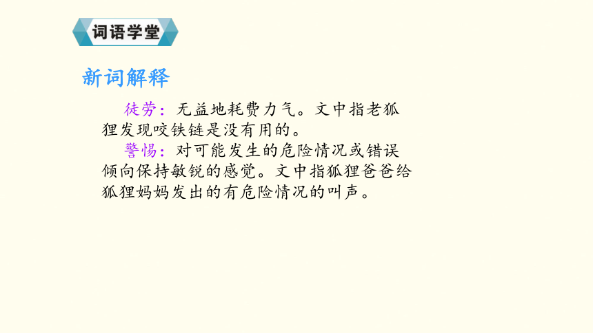 金色的脚印 课件 (共42张PPT)