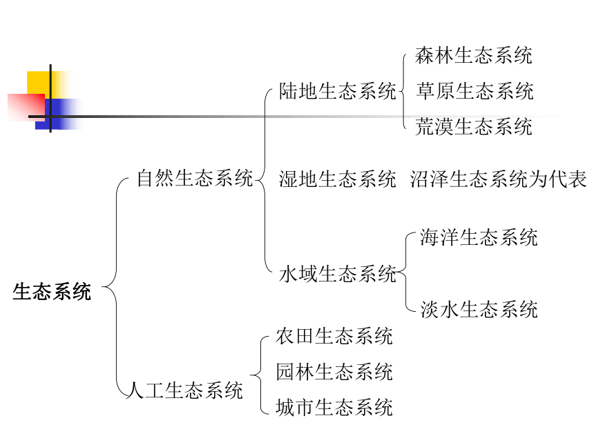 第二章第五节多种多样的生态系统