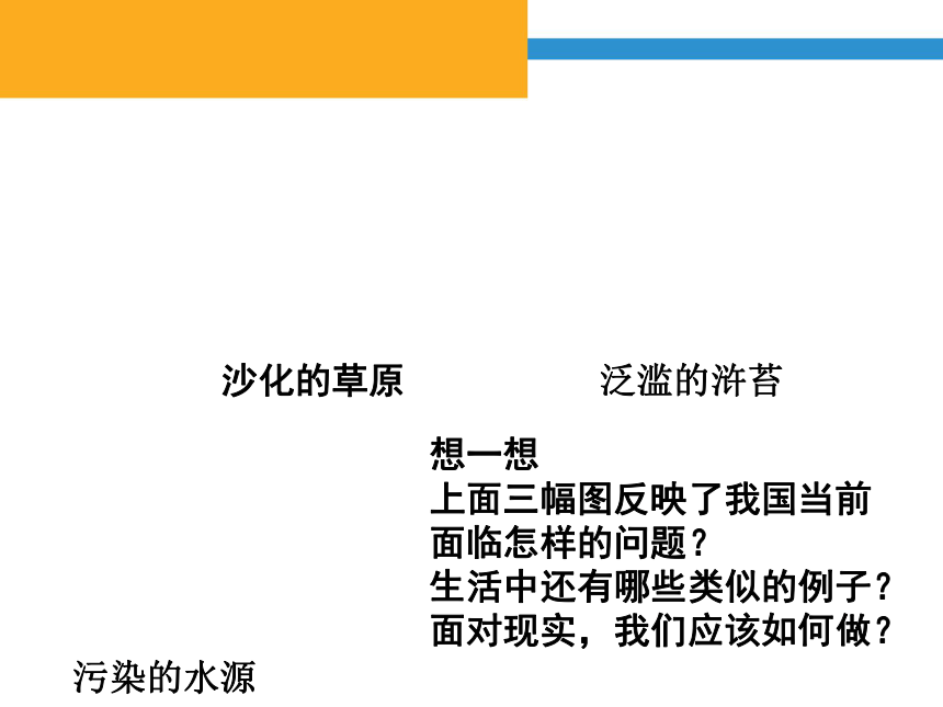 3.2 珍爱共同家园    课件(30张ppt)