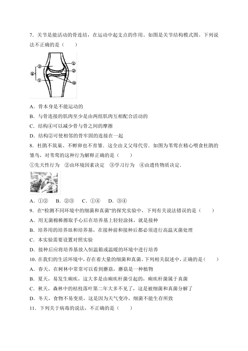 山东省聊城市莘县2017-2018学年八年级上学期期末考试生物试卷（WORD版）