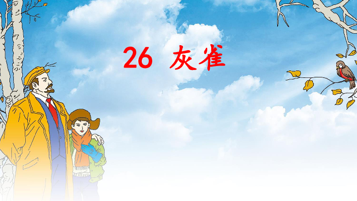 26 灰雀   课件  (共19张)