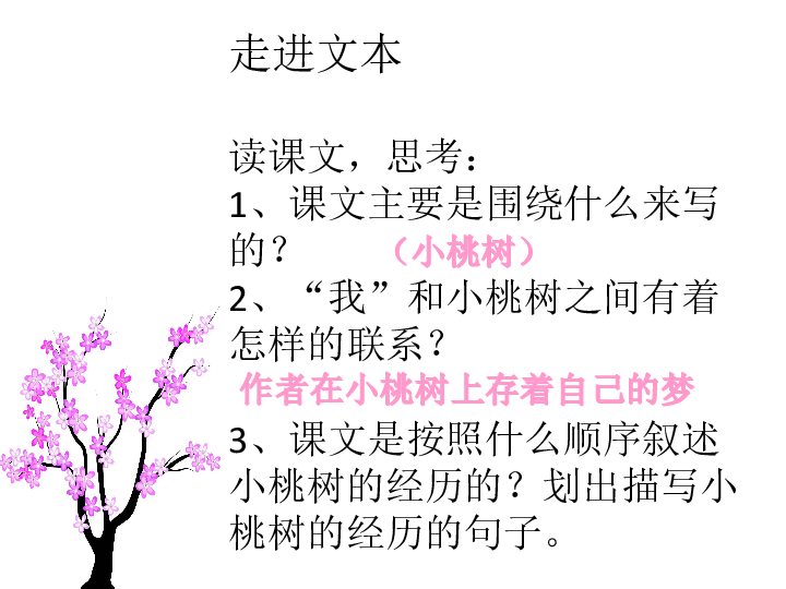 18《一棵小桃樹》課件