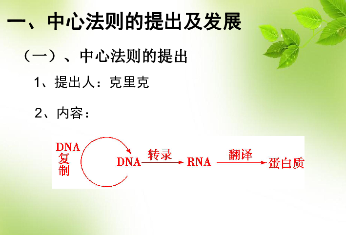 人教生物 必修2第4章2基因对性状的控制（共31张PPT）