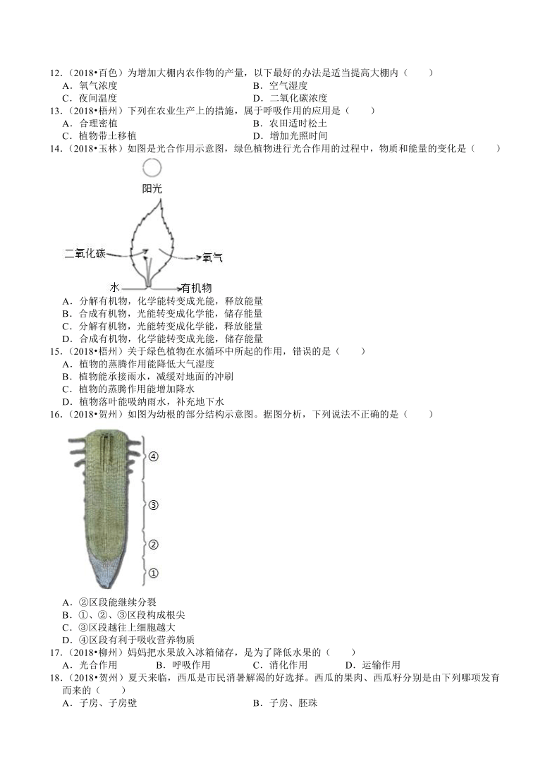 广西2018-2020年近三年中考生物试题分类（3）——生物圈中的植物(含解析)