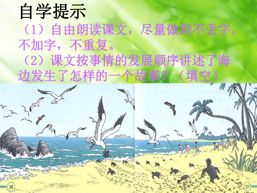 四年级语文上册课件 自然界之道 2（北京版）