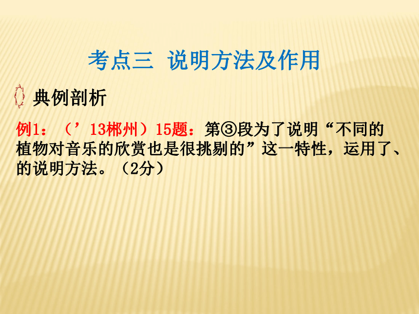 初中语文中考专区专题三  说明文阅读
