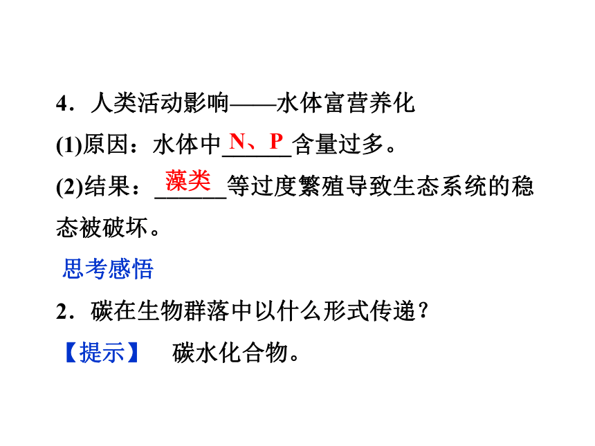 第四章第二节     二生态系统中的物质循环