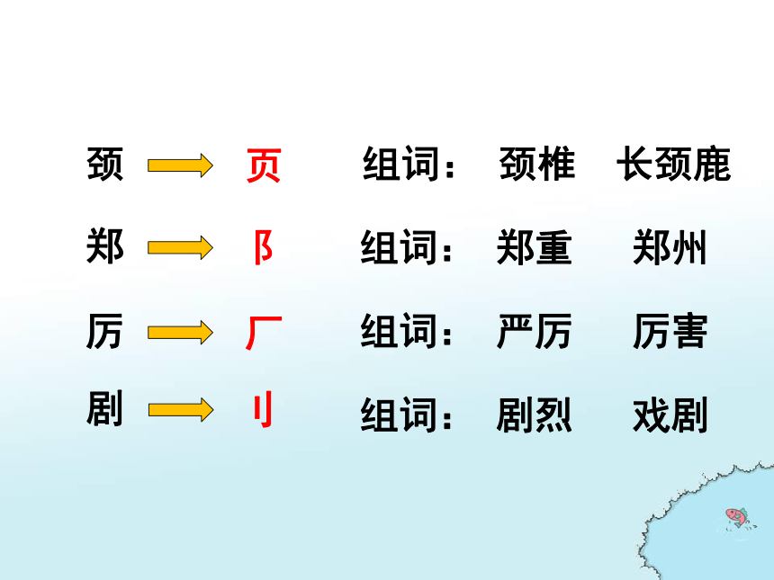 白鹅课件(共33张PPT)