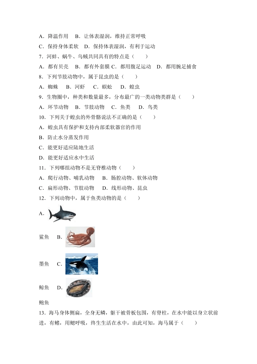 云南省昭通市鲁甸县茨院中学2016-2017学年八年级（上）第一次质检生物试卷（解析版）