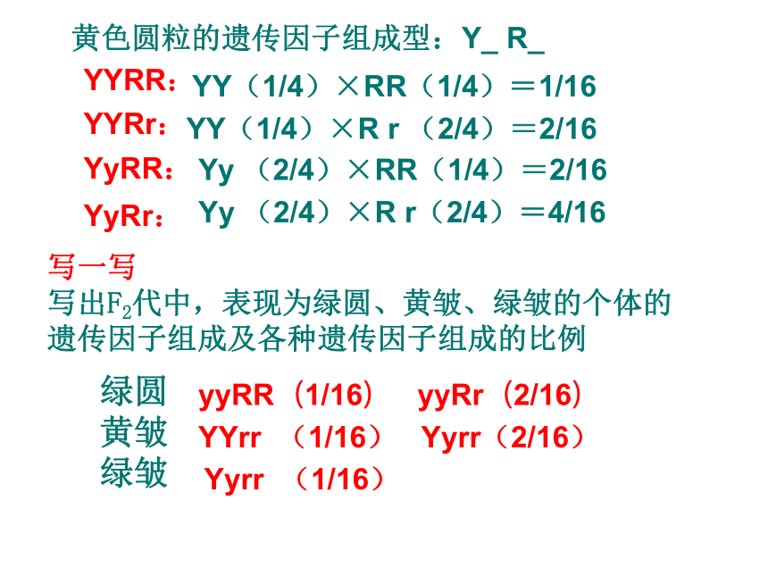 2020-2021学年高一生物人教版必修二1.2孟德尔的豌豆杂交实验（二）课件 （32张ppt）