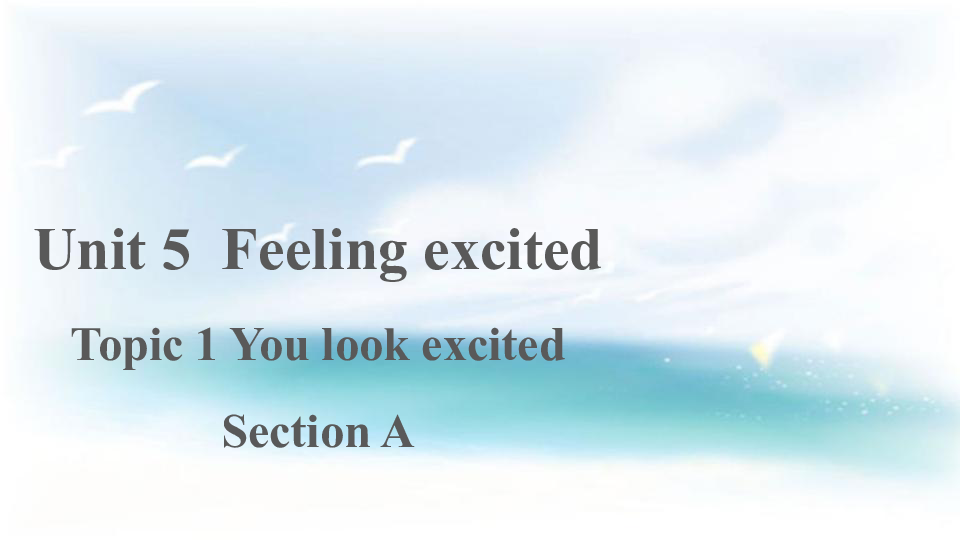 Unit  5  Feeling excited Topic 1 You look excited Section A 课件+嵌入音频（19张PPT）