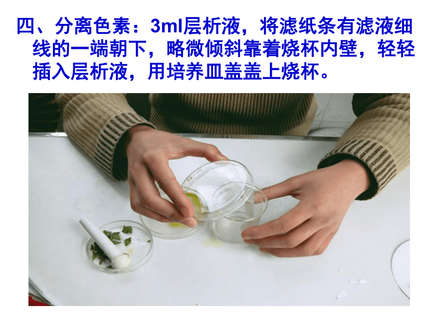 四川省古蔺县中学人教版高中生物必修一《5-4-1 捕获光能的色素和结构》课件（共16张PPT）
