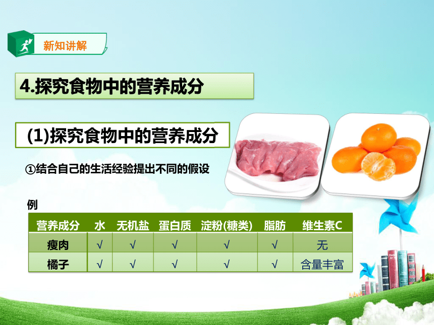北师大版生物七年级下册 4.8.1 人类的食物 课件(共25张PPT)