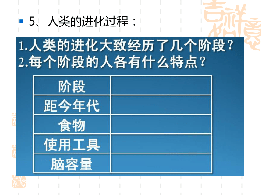 4.人类的进化 课件