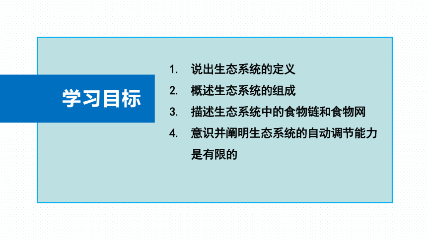 初中生物人教版（新课程标准）七年级上册1.2.2生物与环境组成生态系统课件（30张PPT）