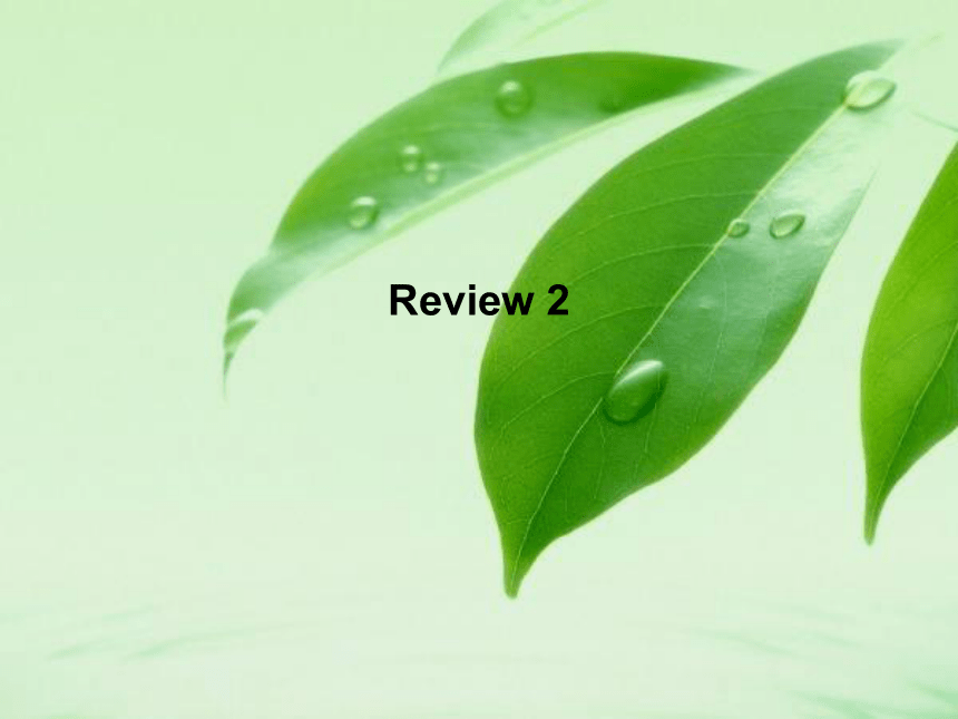 湘鲁版小学英语三年级上册 Review 2 教案