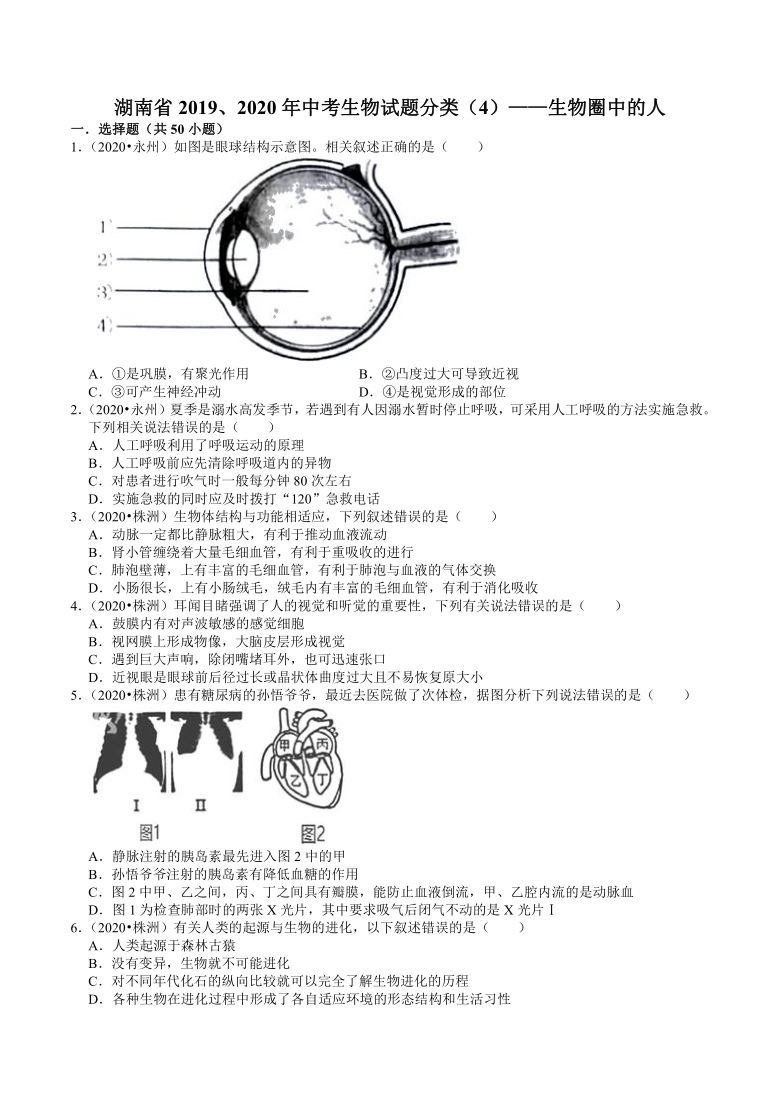 湖南省2019、2020年近两年中考生物试题分类——生物圈中的人(含解析)