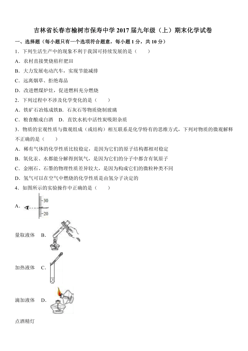 吉林省长春市榆树市保寿中学2016-2017学年度九年级（上）期末化学试卷（解析版）