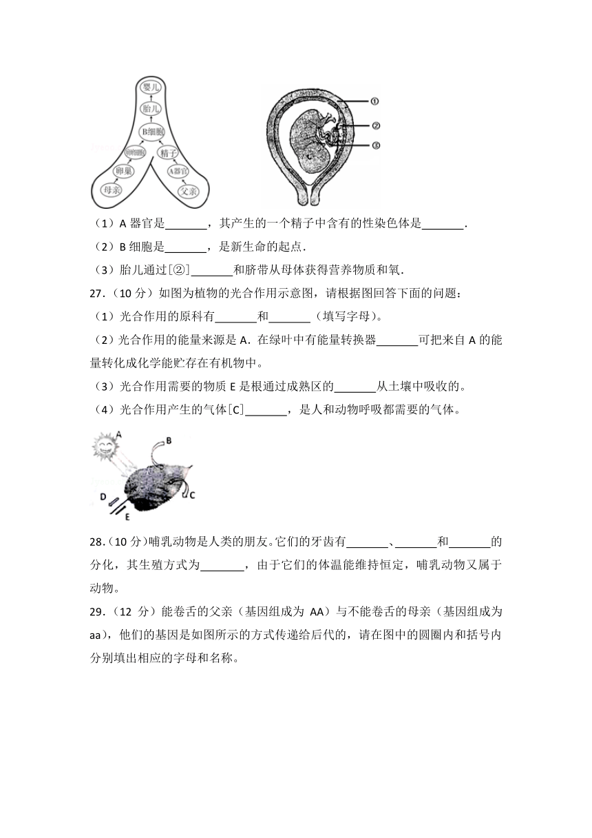 2018年安徽省亳州市中考生物试卷 及答案解析