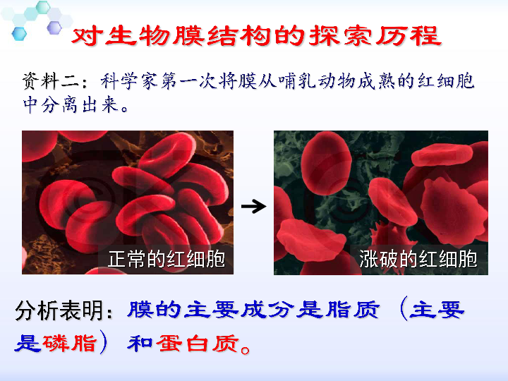 人教新课标版高中生物必修1 第4章 细胞的物质输入和输出 第2节 生物膜的流动镶嵌模型