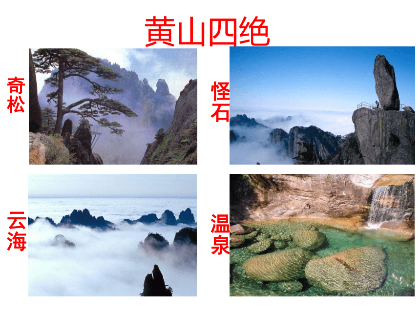 黄山奇松课件 (共22张PPT)