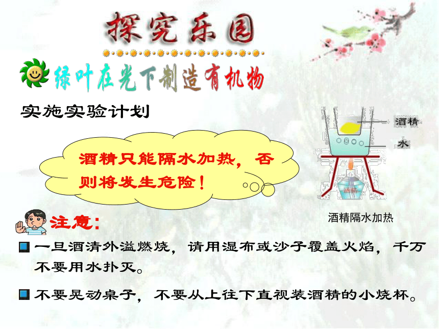 人教版七年级上册生物  3.4 绿色植物是生物圈中有机物的制造者 课件