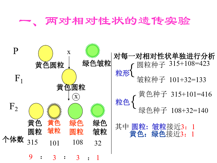 人教版高中生物必修二课件：第一章第二节 《孟德尔的豌交实验（二）（共51张PPT）