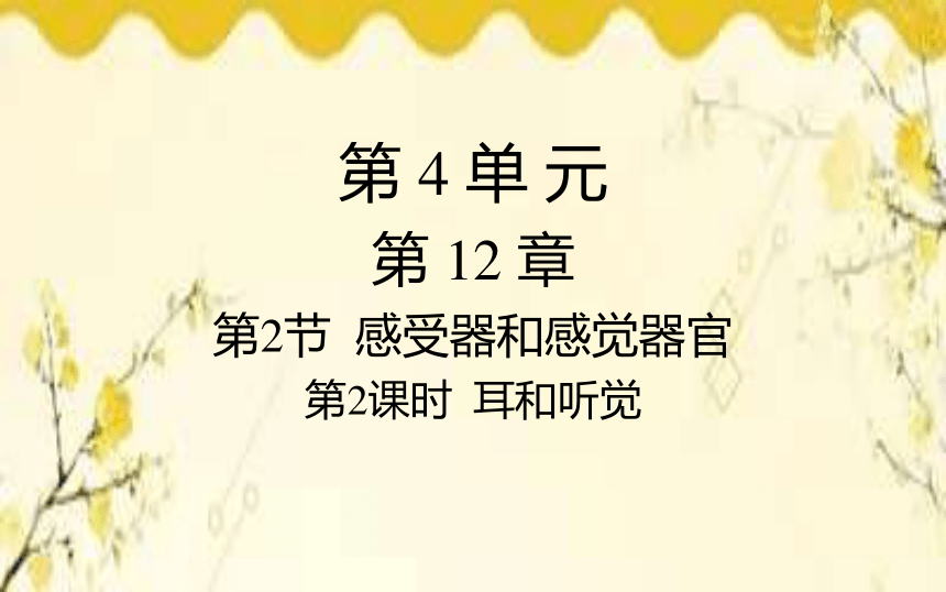 北師大版生物學七年級下冊第12章人體的自我調節第2課時耳和聽覺課件