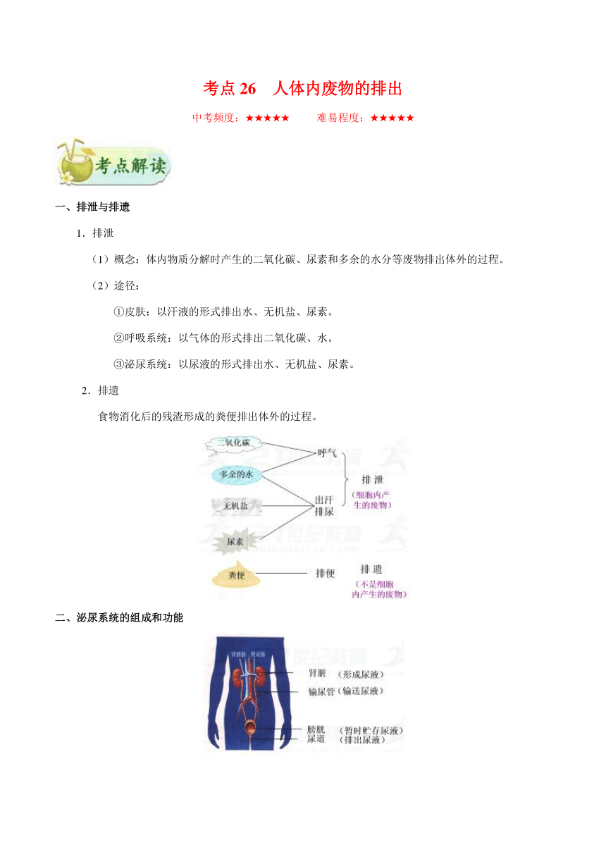 考点26 人体内废物的排出-备战2018年中考生物核心考点全突破