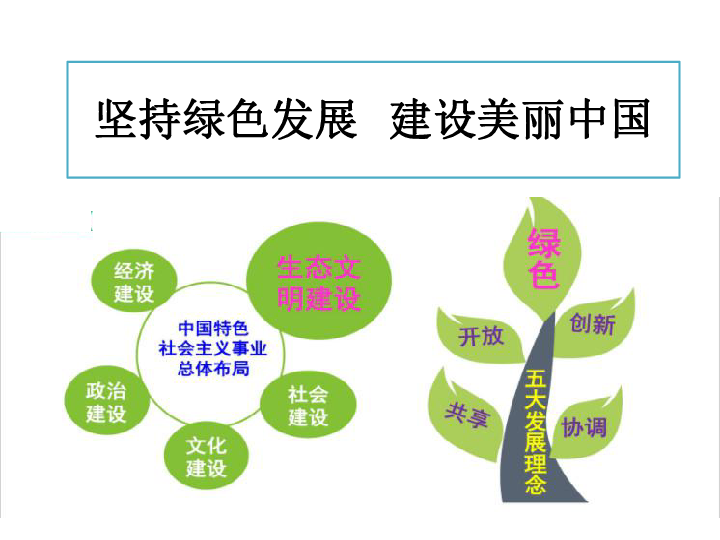 2020届中考道德与法治专题复习：坚持绿色发展   建设美丽中国（14张幻灯片）