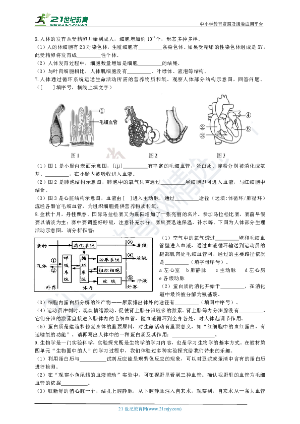 人教版初中生物中考题精选（五）生物圈中的人（非选择题部分.含答案）