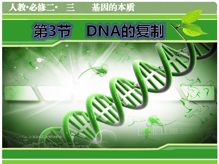 人教版高中生物必修二第三章第3节《DNA分子的复制》（23张）
