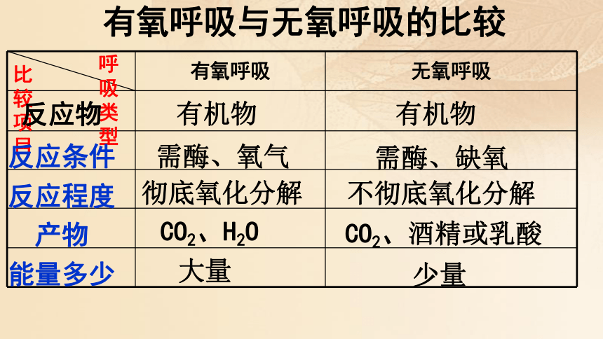 4.4能量的获得