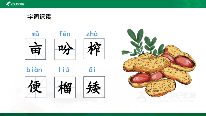 2 落花生  课件（共44张PPT）