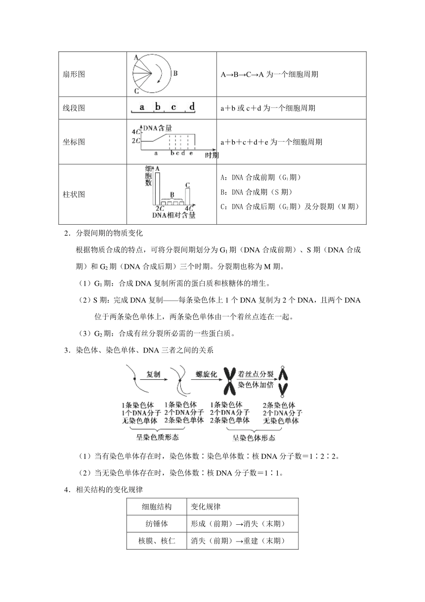 2018年高考生物高频考点有丝分裂和减数分裂