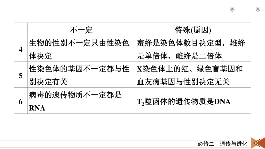 考能提升4 遗传的物质基础和基本规律（共30张PPT）