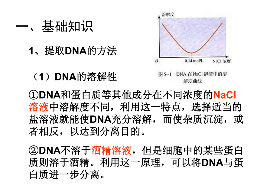 人教版高中生物选修一专题五课题一 DNA的粗提取与鉴定（17张PPT)
