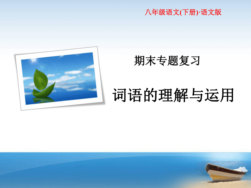 语文版初中语文八年级下册期末专题复习词语运用 练习课件