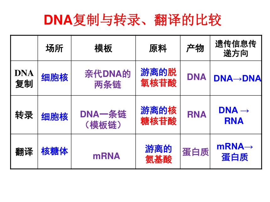 2020-2021学年高一下学期人教版生物必修二4.2基因对性状的控制  课件（共34张PPT）