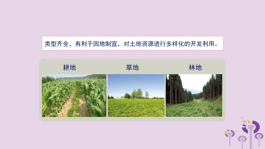 （新版）湘教版八年级地理上册第三章第二节中国的土地资源课件(41张PPT)