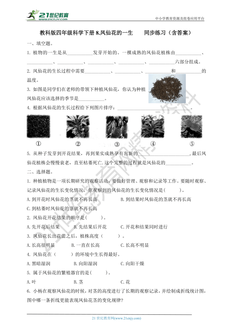 教科版科学四年级下1.8 凤仙花的一生 同步练习（含答案）