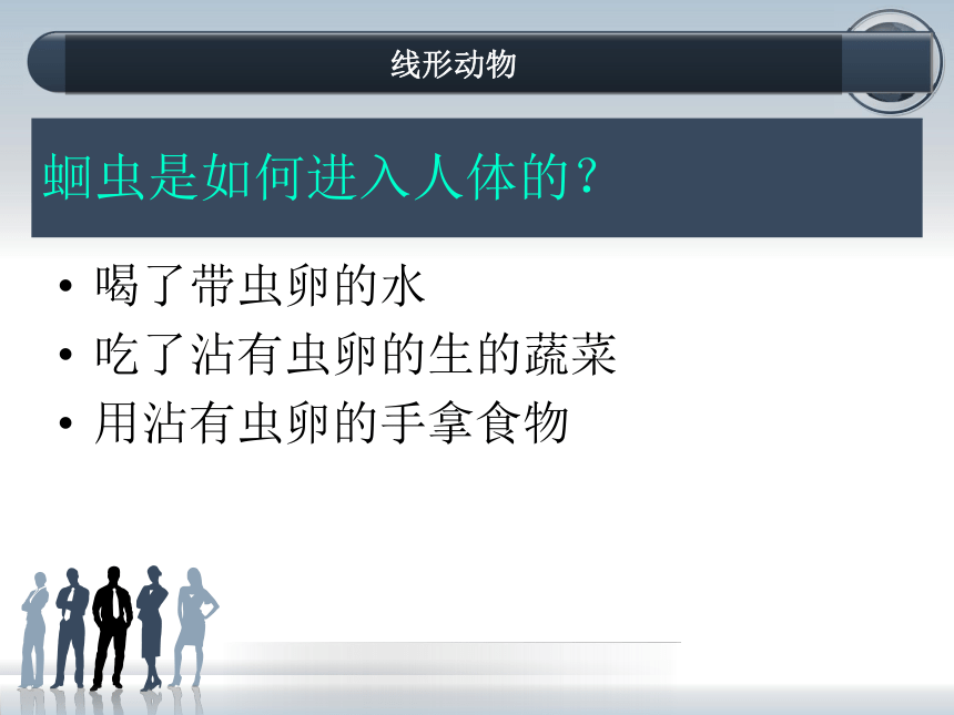 第一章第二节 线形动物和环节动物教学课件（19张PPT）