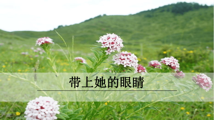 课件预览
