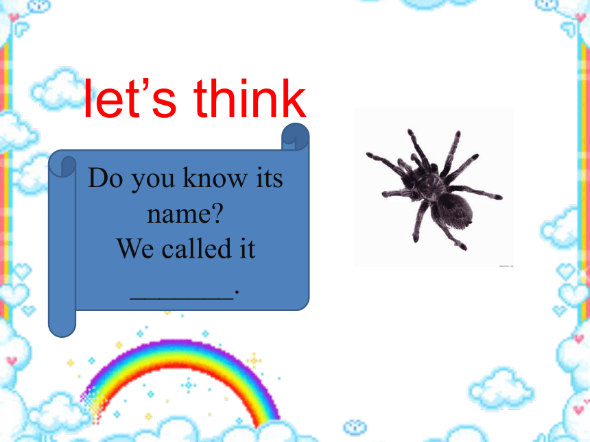 Unit 2 Animals and science LESSON 13 课件  (共17张PPT)