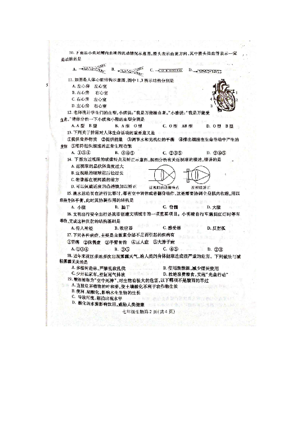 河南省禹州市2018-2019学年下学期教学质量评估考试七年级生物试卷（扫描版附答案）