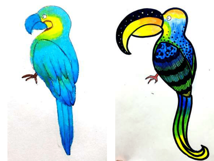 四年级美术鸟的纹样画图片