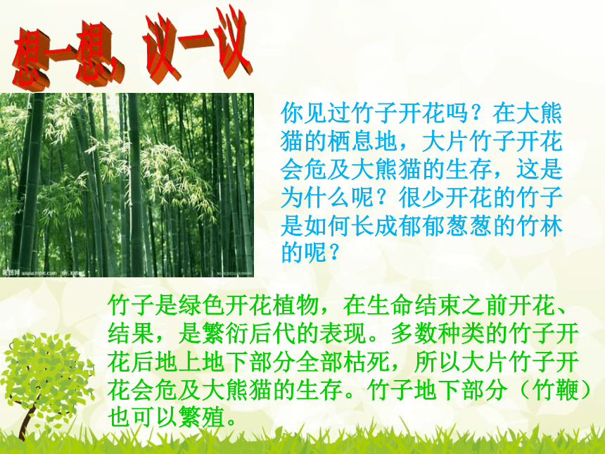 2017云南中考试题研究 生物 名师ppt 植物的生殖 复习课件（共32张PPT）